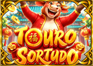 TOURO  SORTUDO
